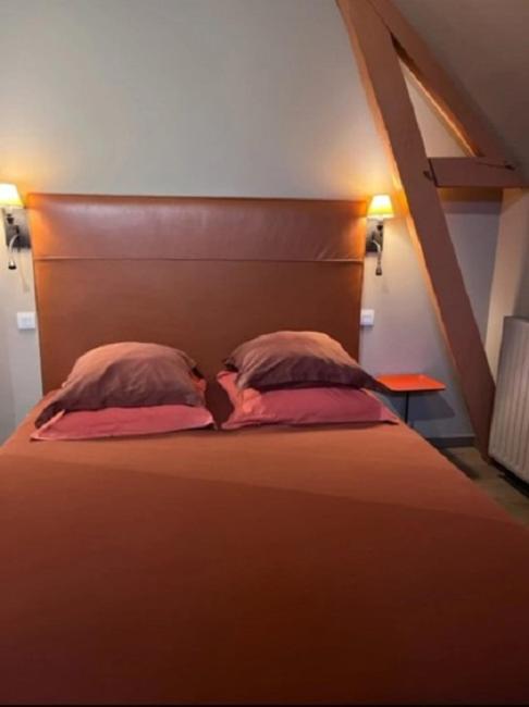La Demeure De L'Ile Bed & Breakfast Craon  Dış mekan fotoğraf